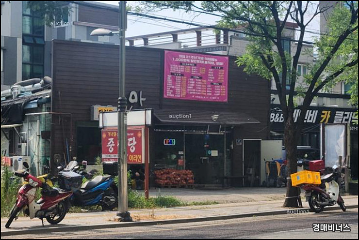아리산 사진 5