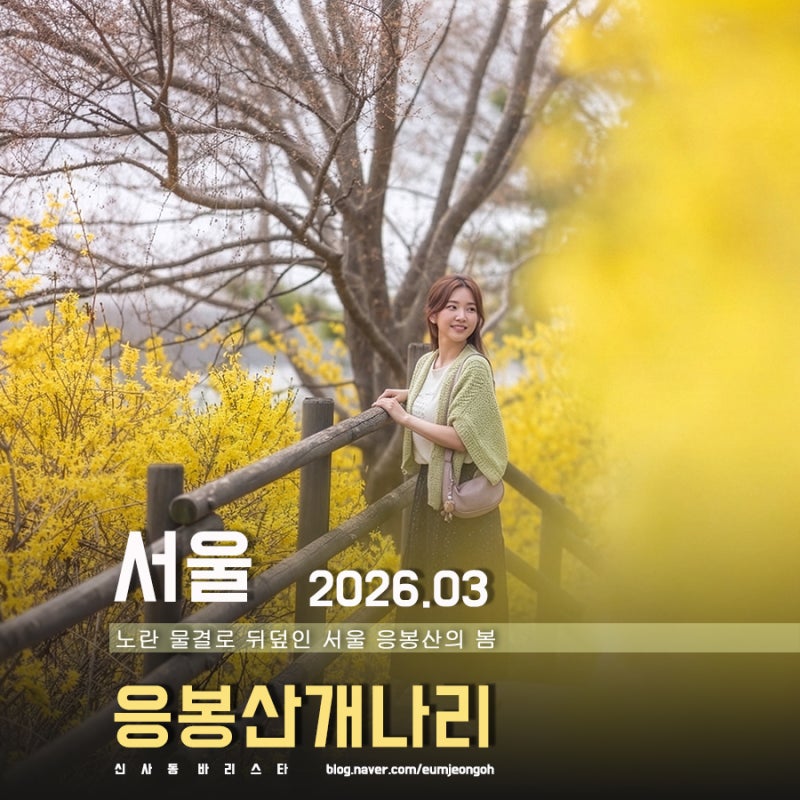 사진 5