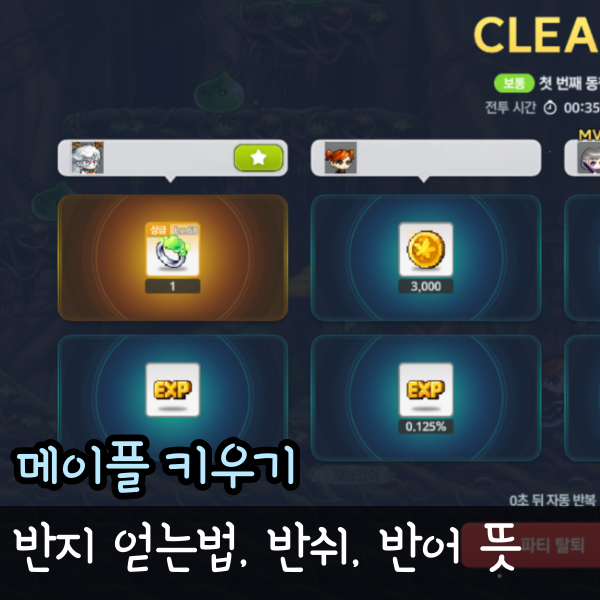  메이플키우기 반지 종결 옵션 티어표, 메키 반쉬 반보 반어 뜻