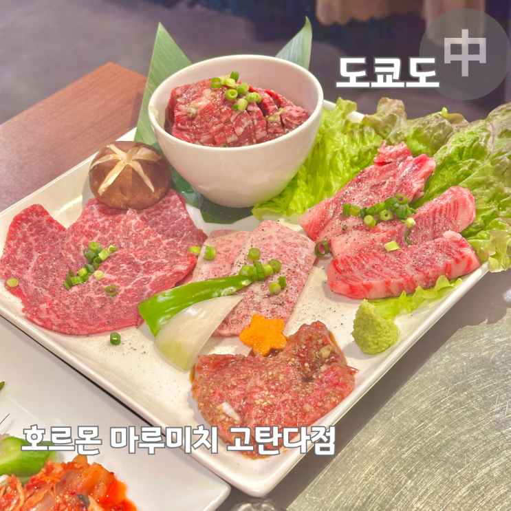  도쿄 시나가와 야끼니꾸 맛집 호르몬 마루미치 고탄다점