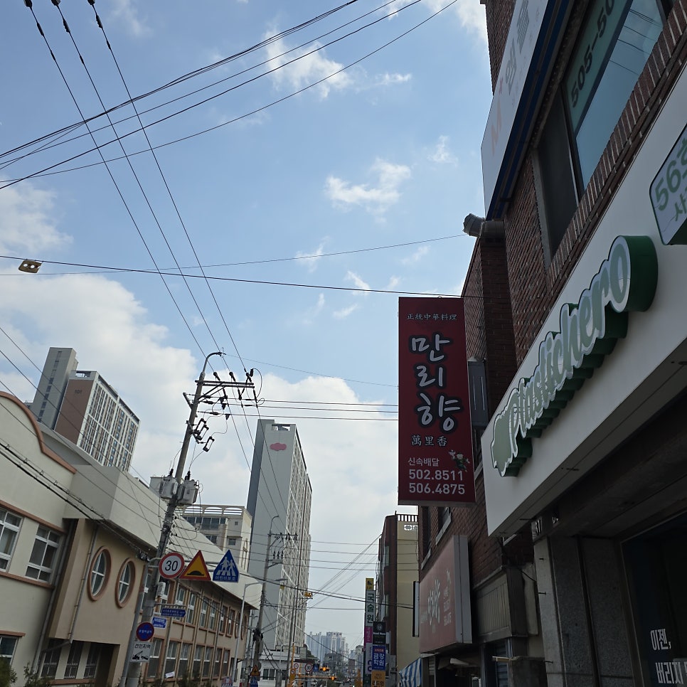 만리향 사진 2