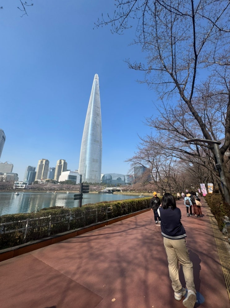  프리미엄 원육 갈비살에 한땀 한땀 칼집으로 풍미에 부드러움까지 추가된 석촌호수 맛집 화목집!