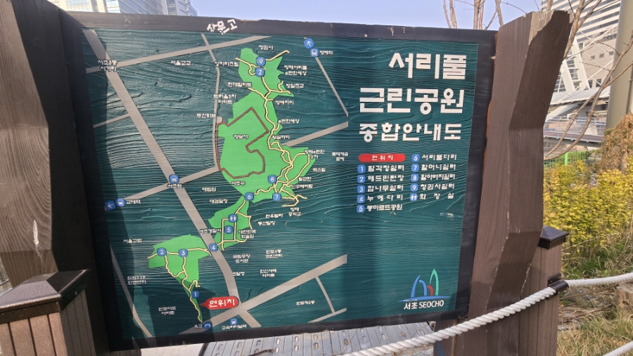 미미짬뽕 과천점 사진 5