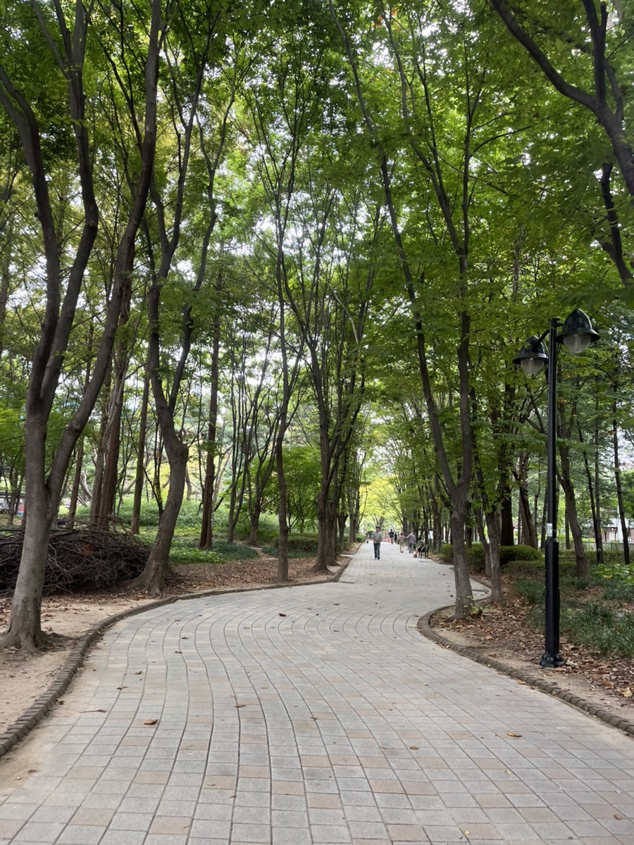 또래분식 사진 4