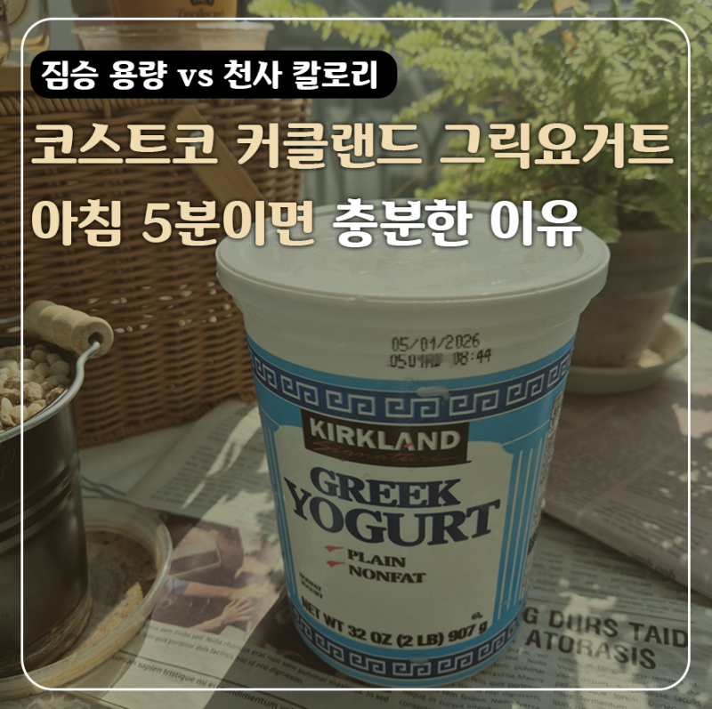 용량은 짐승, 칼로리는 천사? 코스트코 커클랜드 무지방 그릭요거트 5분 만에 끝내는 요거트 ....