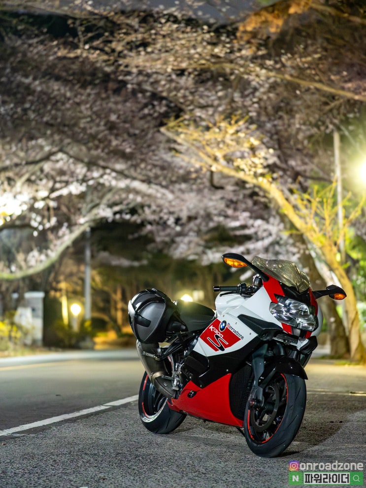  2026.03.27 진해 벚꽃 근황. 군항제 첫날 진해 벚꽃 명소 장복산 밤바리 Feat. BMW K1300S