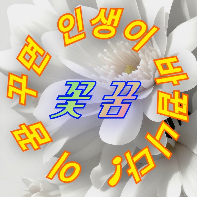 꽃꿈해몽 총정리 꽃다발·꽃밭·하얀꽃·시든 꽃까지 상황별 꿈풀이 한눈에