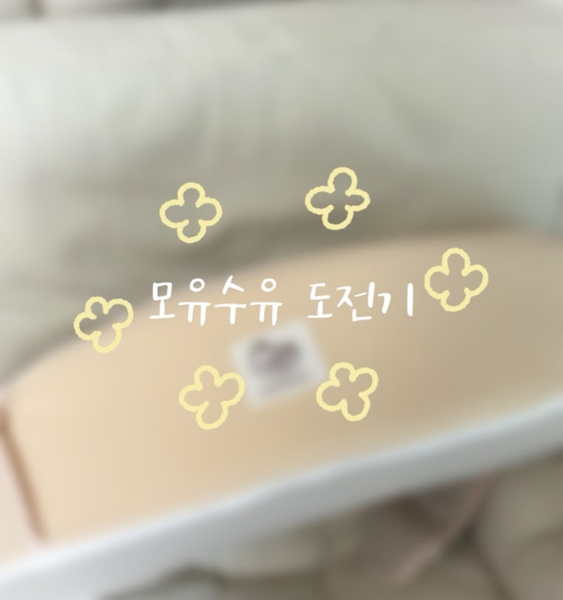 초산맘의 완모 도전기 - 모유수유 준비물 리스트(수유쿠션, 수유브라, 수유의자 추천)