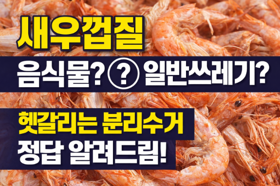 새우껍질 분리수거 방법 (음식물 vs 일반쓰레기 정확한 기준 2026년 최신)