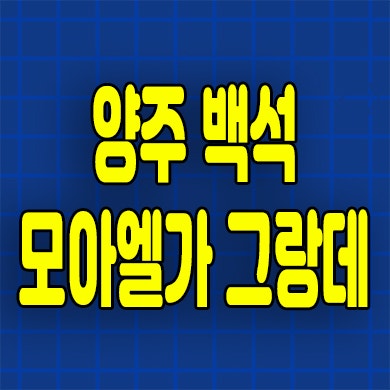  양주 백석 모아엘가그랑데 미분양아파트 백석지구 계약금 0원 잔여세대