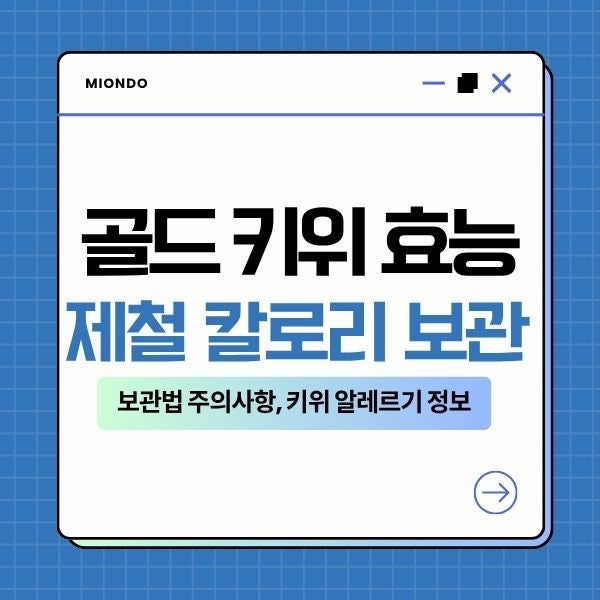 골드 키위 효능 제철 칼로리 보관법 주의사항, 키위 알레르기 정보