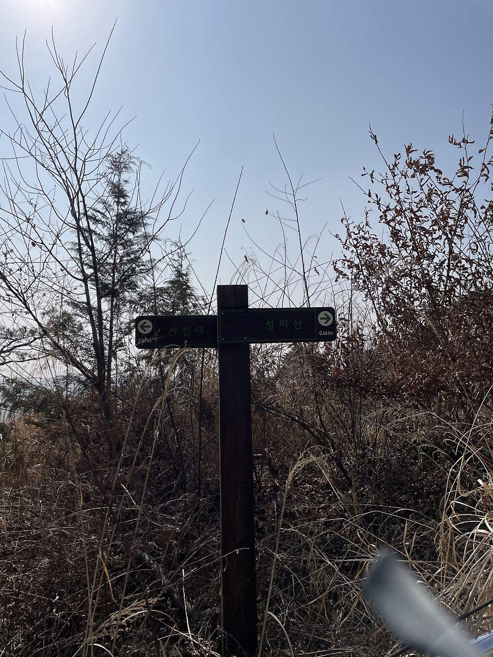 성미산 사진 2