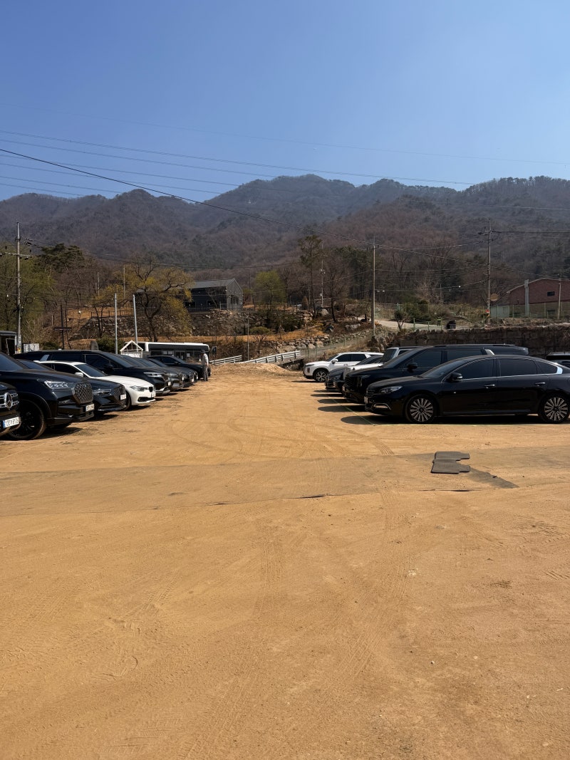 사진 5