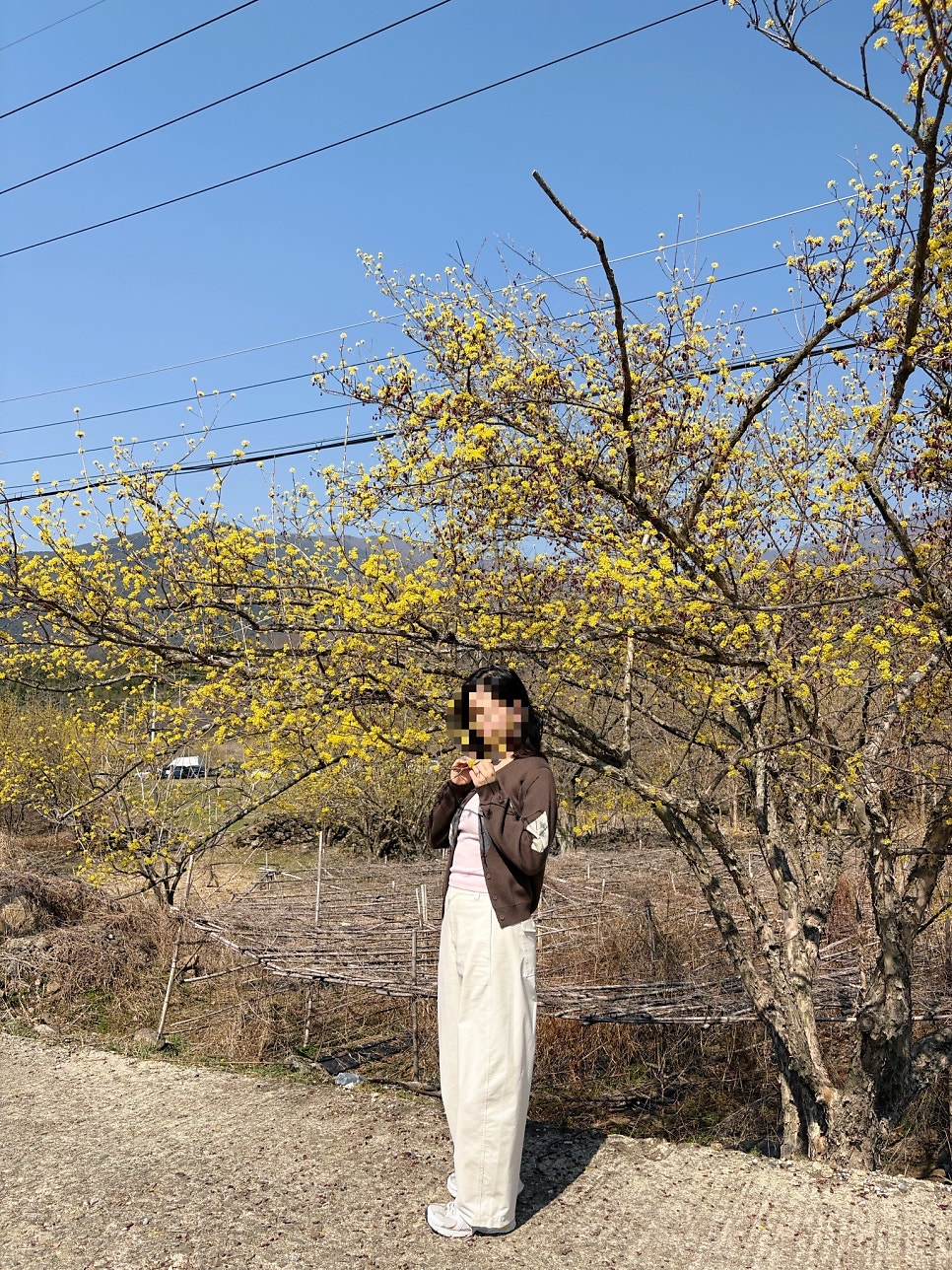 유성식당 사진 6