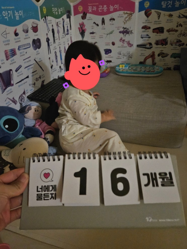  [육아일기] 16개월 맞은 70주차
