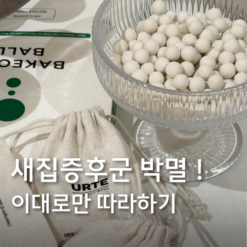 유르테 베이크아웃볼 내돈내산 재사용 가능한 새집증후군 제거템