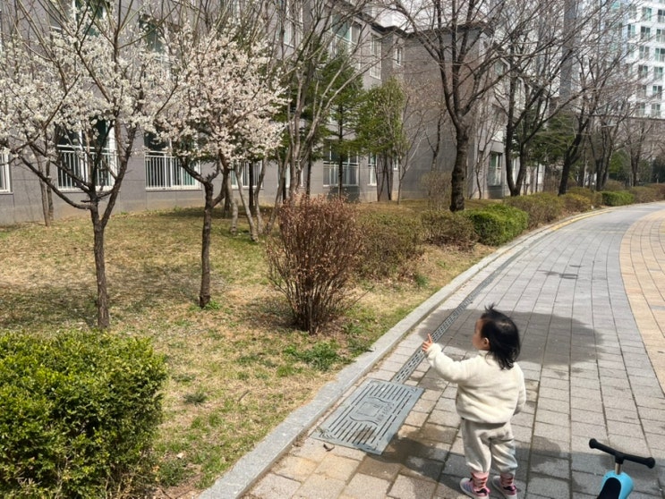  두돌 아기 발달 기록 | 23개월 성장 일기 (의사소통·스스로 행동·씽씽이)