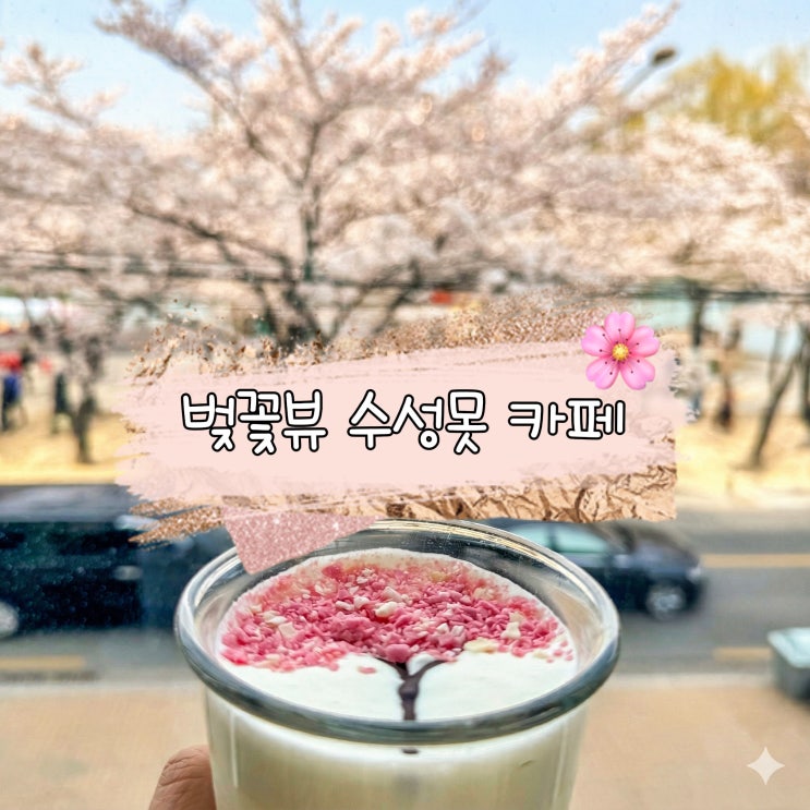  대구 벚꽃 명소 수성못 벚꽃뷰 카페 나들이