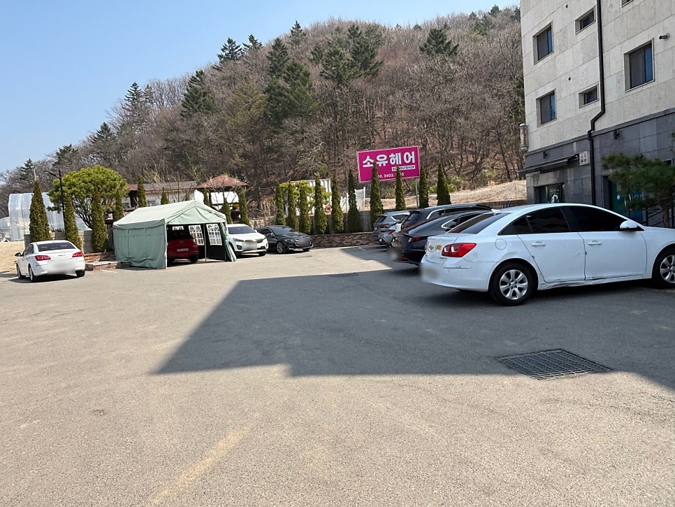 포우포우카페 사진 2