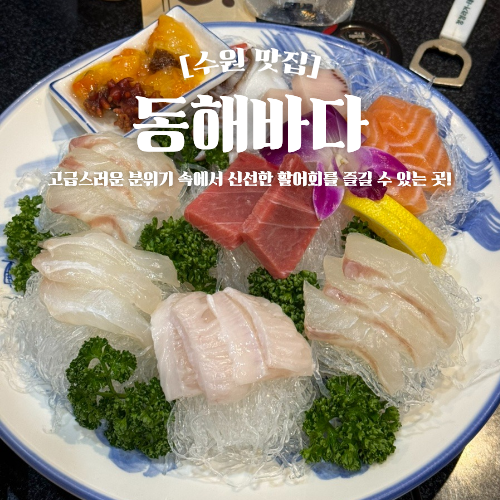  영통구청맛집 동해바다 회식 모임하기 좋은 수원횟집 추천