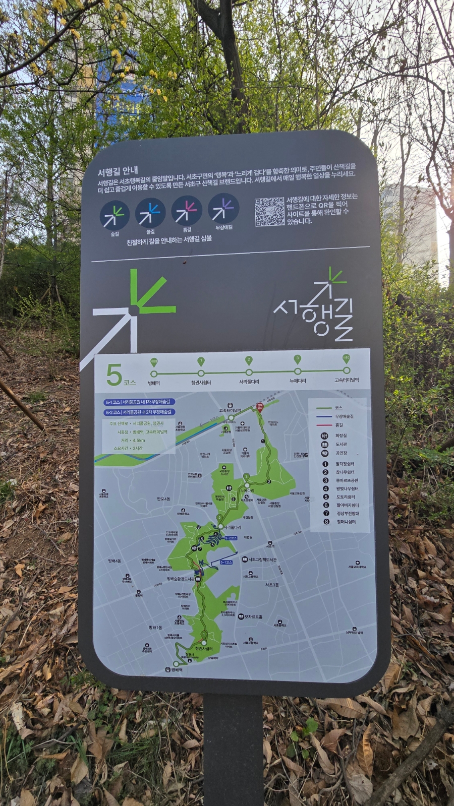미미짬뽕 과천점 사진 6