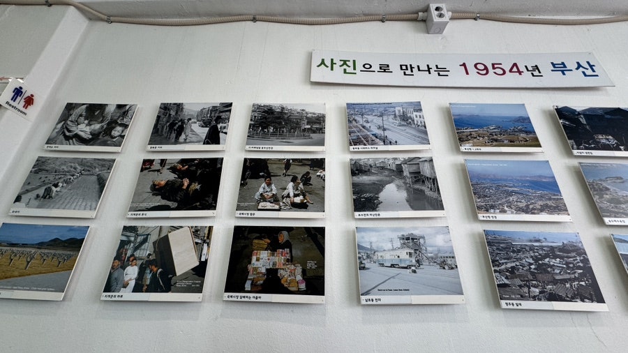 오계절밀면 사진 6