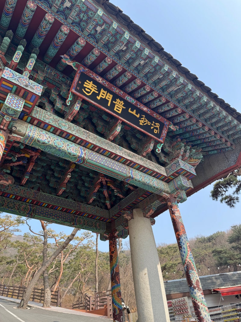 사진 6