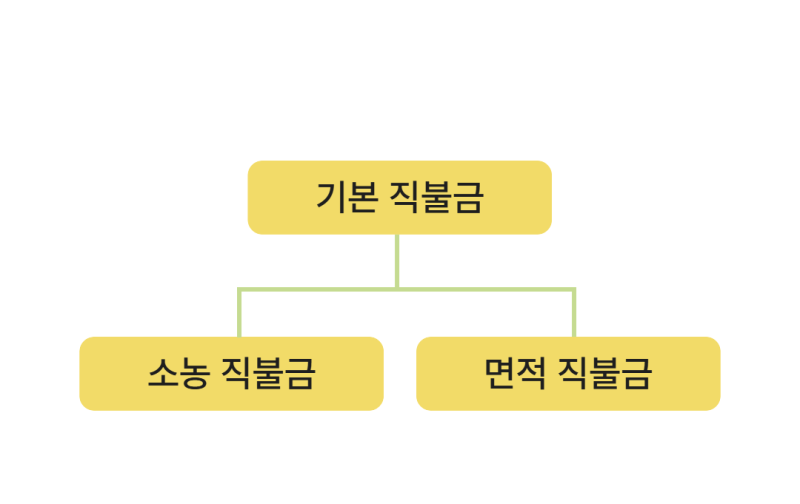 소농직불금 면적직불금 차이, 드디어 정리해봤어요 (청창농 직불금 신청 5단계)