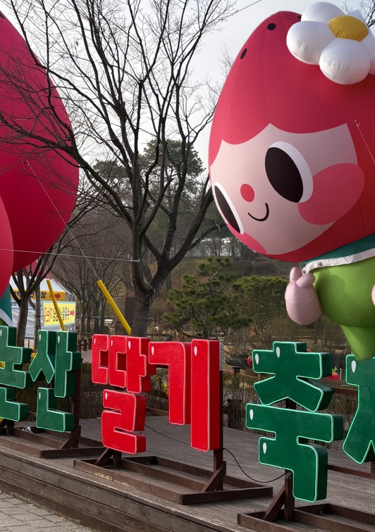 2026 논산 딸기축제 후기 (주차장, 딸기 가격, 성심당 줄, 먹거리, 토요일) | 