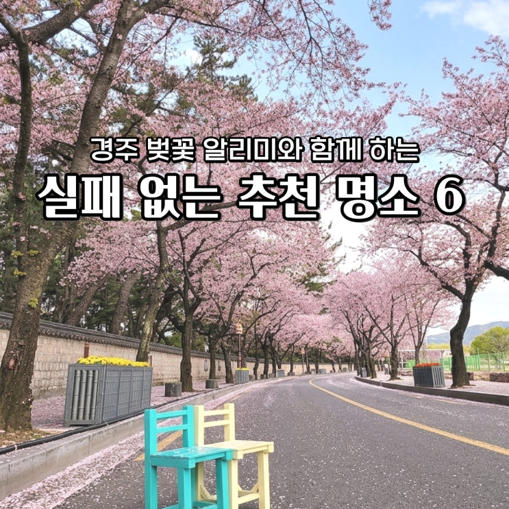 경주 벚꽃 알리미 2026년 벚꽃 개화시기 & 실패 없는 추천 명소 6