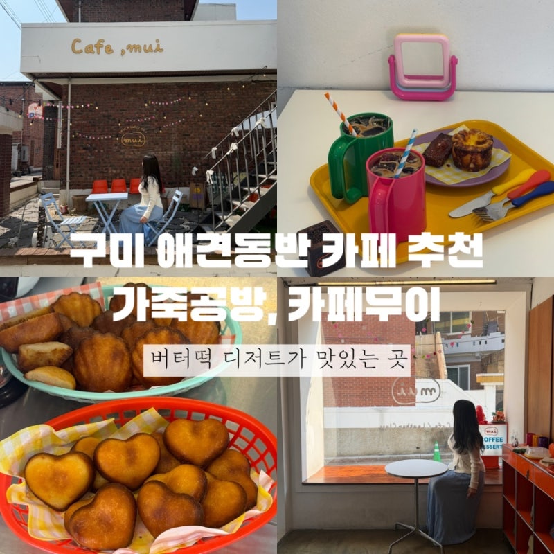 사진 3