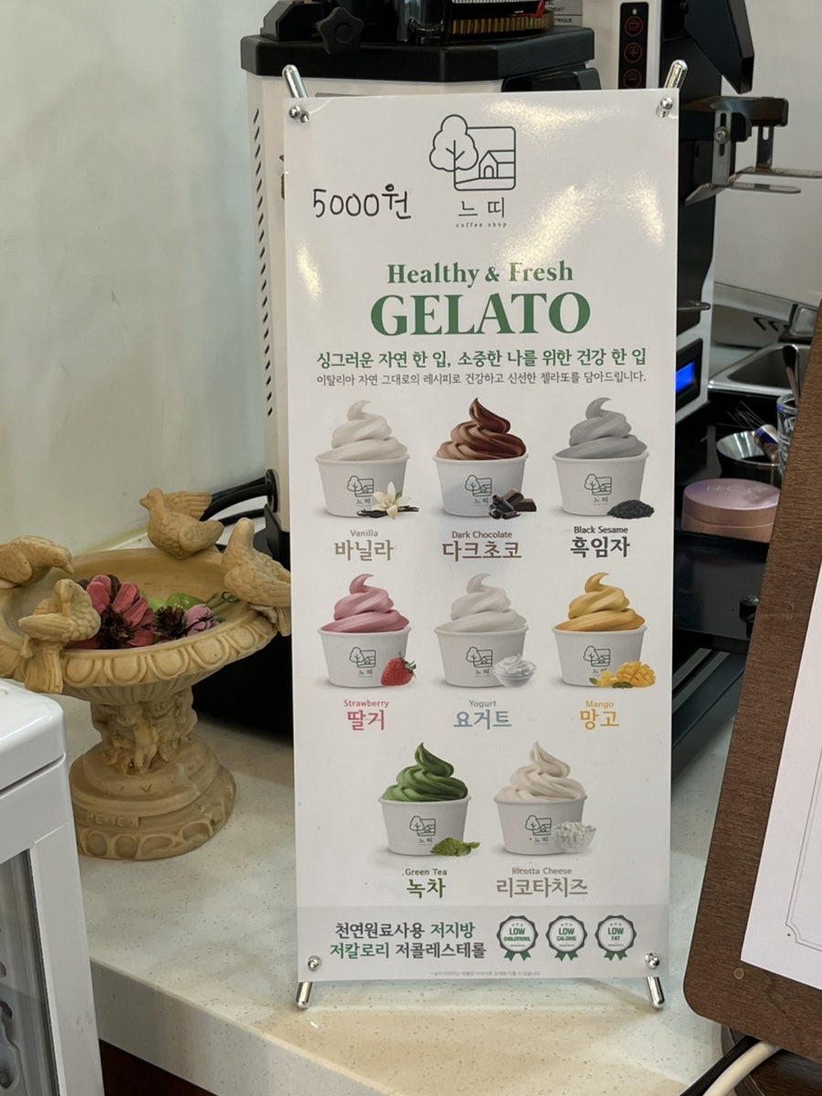 느띠 사진 6