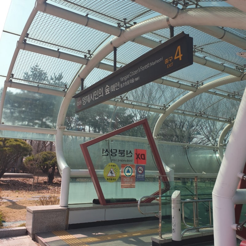사진 8