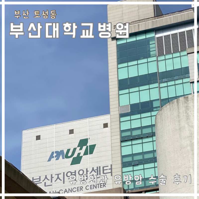 부산대학교병원 유방외과｜유방암 수술｜3인실 입원 후기 (0기 상피내암)