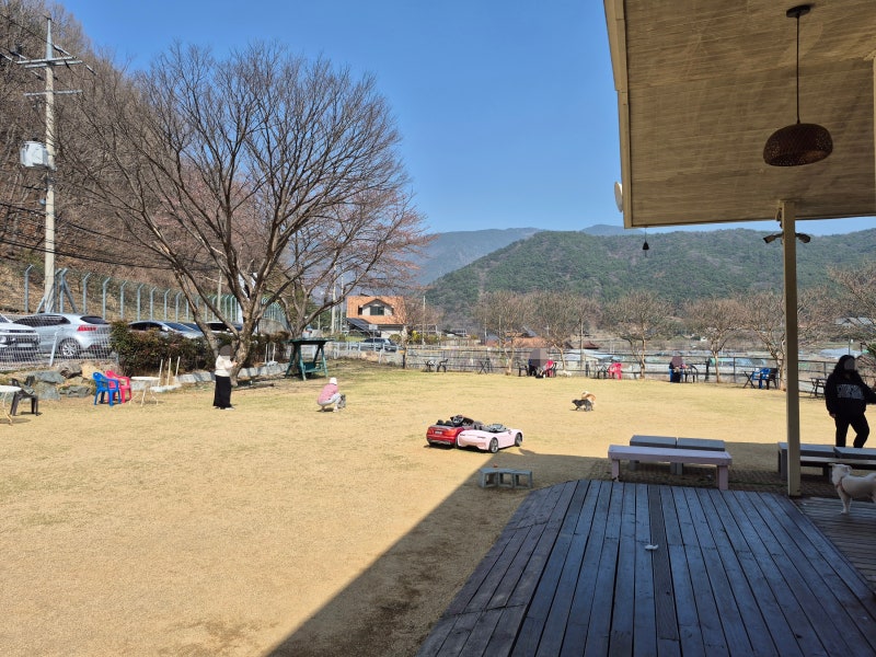 사진 4