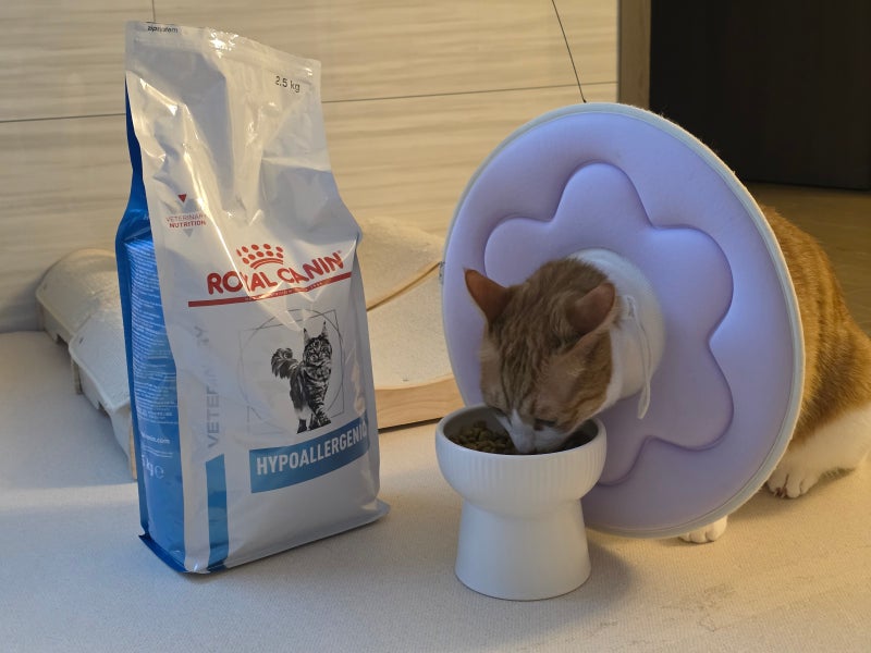 고양이 알러지 사료 로얄캐닌 하이포알러제닉