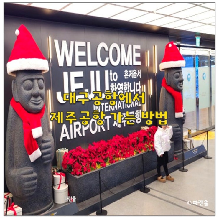 대구 공항 제주 공항 탑승 수속 국내선 티웨이 TW805