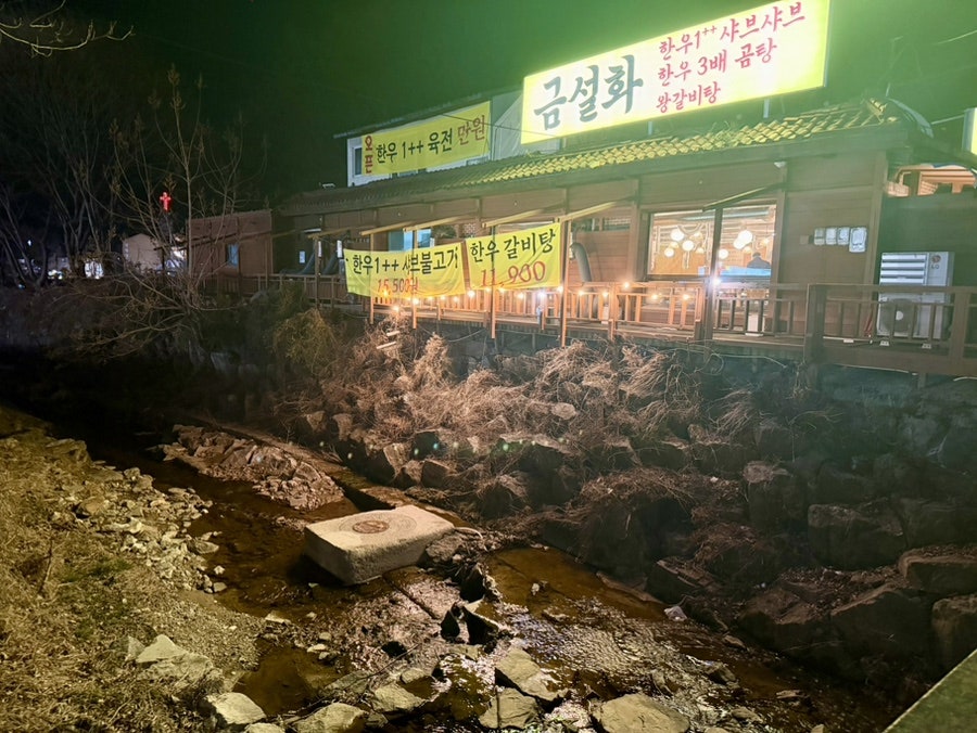 금설화 사진 3