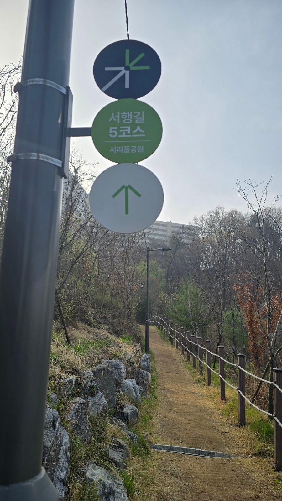 미미짬뽕 과천점 사진 4