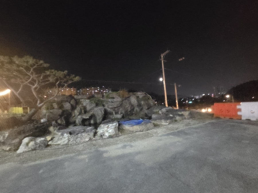 신갈비 사진 6