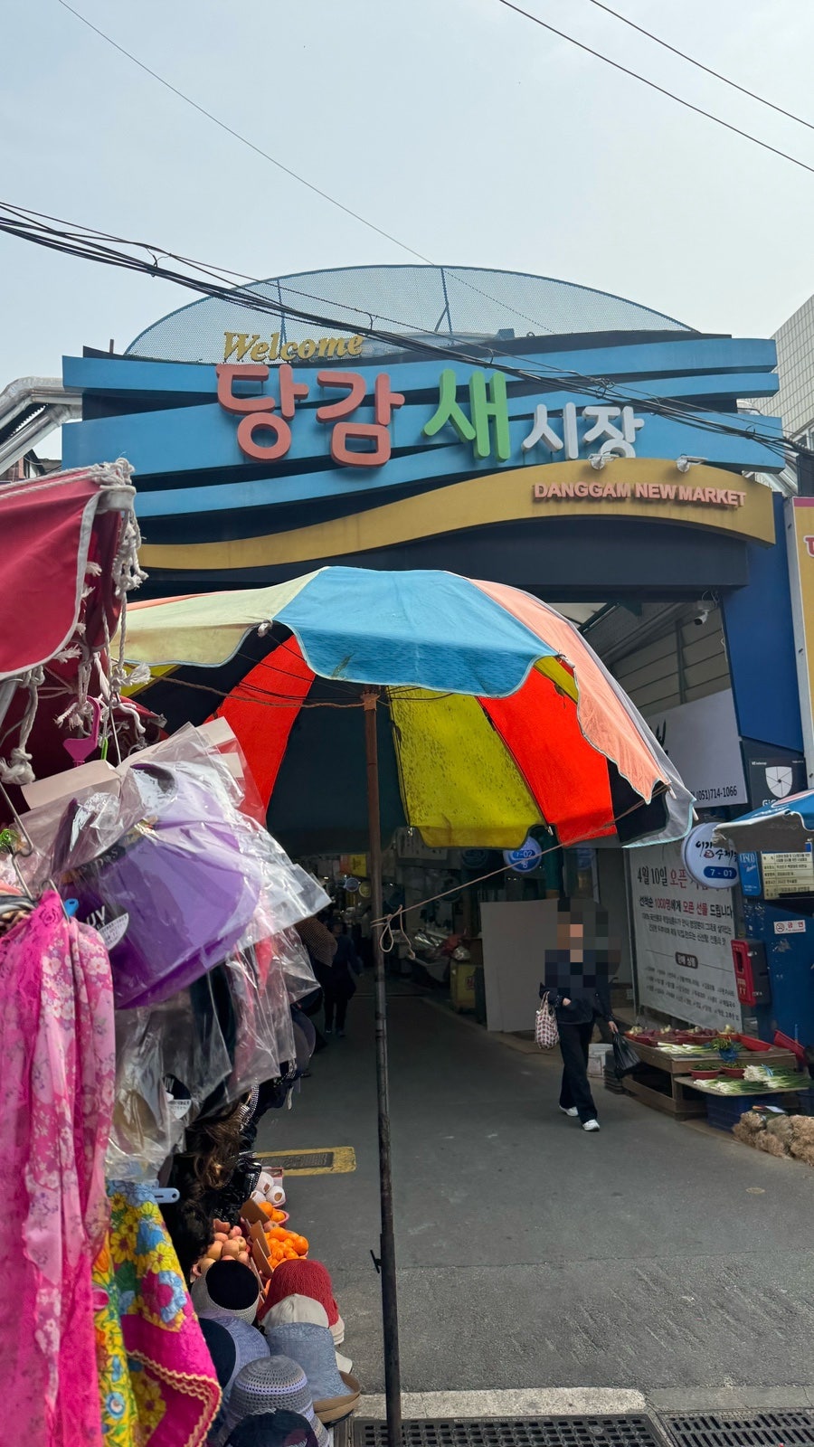 오계절밀면 사진 2