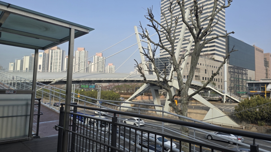 미미짬뽕 과천점 사진 3