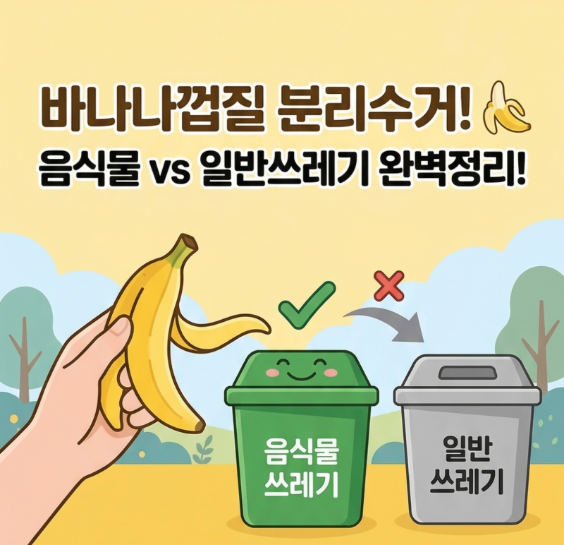 바나나껍질 분리수거 음식물일까 일반쓰레기일까 완벽정리