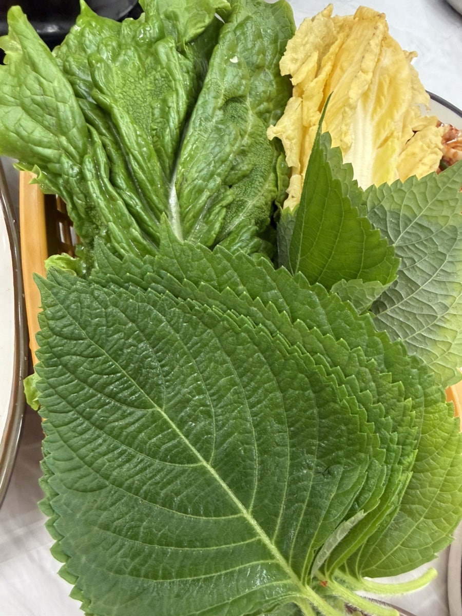 디딤돌가든 사진 6