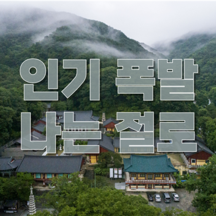  인기 폭발!! 나는 절로 : 이거 뭔데 이렇게 관심 높나