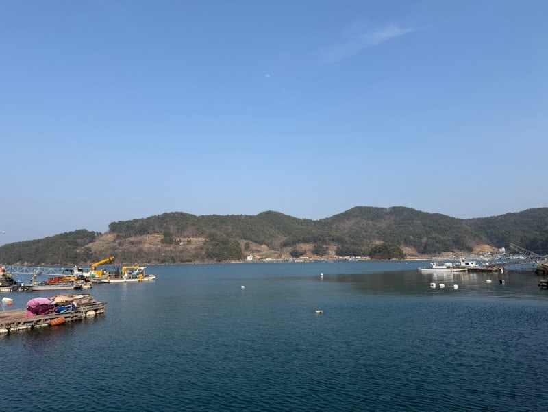 사진 9