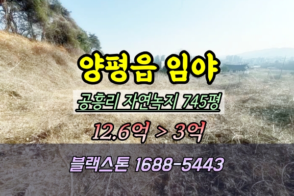  양평군 임야 경매 양평읍 공흥리 745평 2024타경516