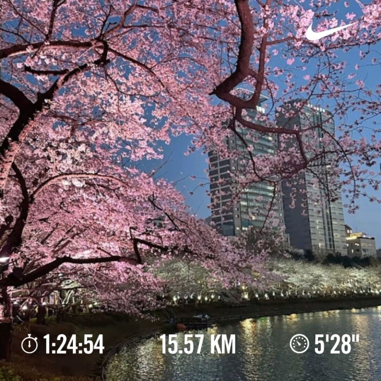 매일 러닝 달리기 조깅 챌린지 1693일차