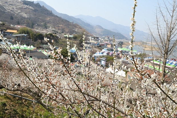 사진 2