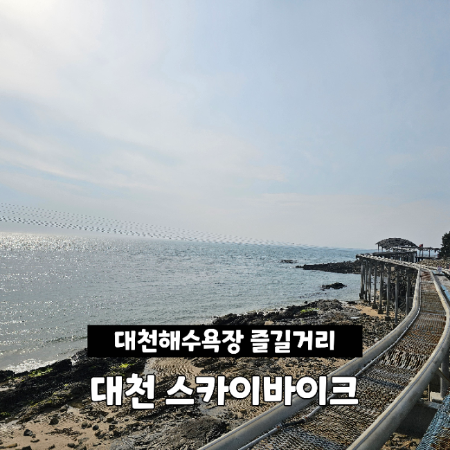 대천해수욕장 스카이바이크 가격 즐길거리 & 대천해수욕장 애견동반카페 코랄커피